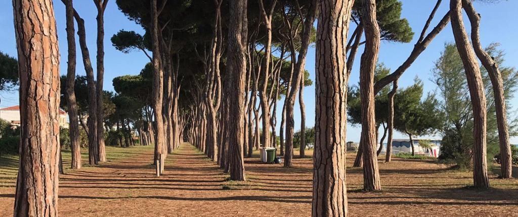 Hotel Costa Verde بينيتو المظهر الخارجي الصورة